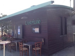 ostricaio