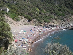Cala del leone