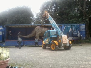 Allestimento mostra