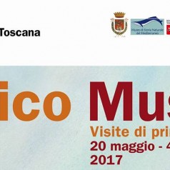 Pochi giorni per l’inizio degli appuntamenti di Amico Museo!