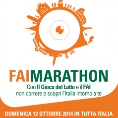 FAIMARATHON 2014